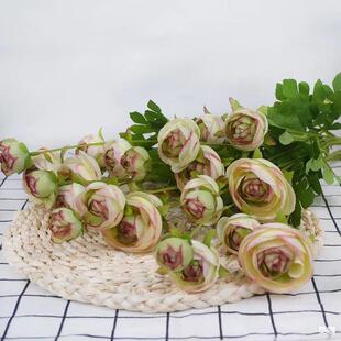 �Ӽ����P�b�Ʒ ���^¶ɏ ��c�zӰ��������ֲ�� �S�ҹ���