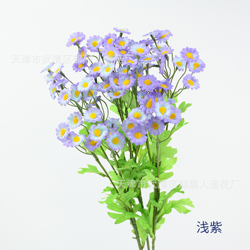 カモミールの単枝30輪の花が国境を越えて起爆した家庭の客間に小さなデイジーベランダの小さな清新な装飾を配置することをシミュレーションした|undefined