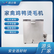自动加热烫毛机 家禽鸡鸭鹅小型烫毛机 肉鸡不锈钢浸烫池工厂定制