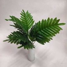 ����Gֲ�ָ��z�����~���˽�С�;G�~�@���쾰ֲ�����ԼҾ��b�