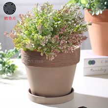 ���s���z�t�ջ����؟�͸�������͹����f����ֲ������մ�