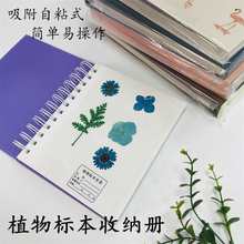 ֲ˱ԉɻ~ռ{ռԌWֹDIYĤճNʽ