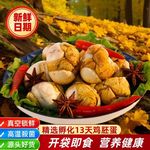 新鲜爆品活珠子五香麻辣香辣即食全熟喜蛋正宗厂家价真空包装美味