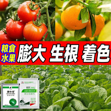 �����Ӽt���ӾG���ӽ����{����������Ԫ��ˮ���~���