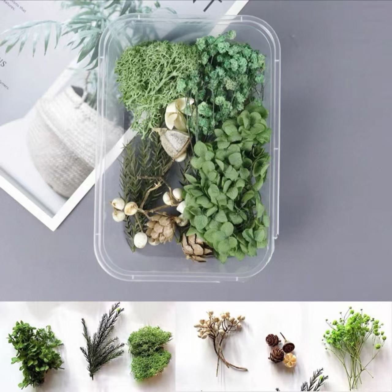 Paquete mixto de bricolaje, decoración hecha a mano, flor eterna, material de paquete de flores secas, marco de fotos de bricolaje, paquete de flores en relieve, día de la mujer