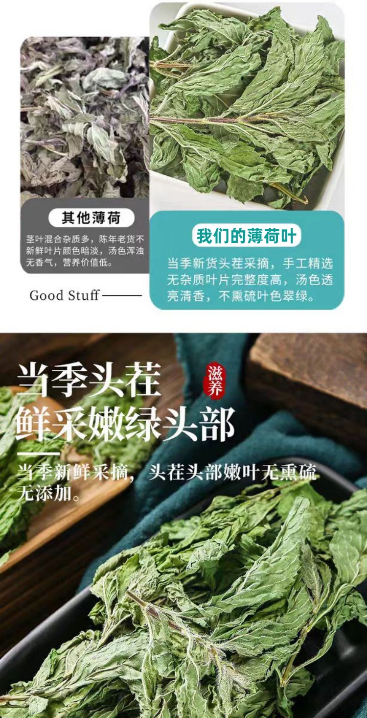 Bo He Ye (Mentha haplocalyx) — Dried Whole-Plant Mint Herb, 500g quality and texture