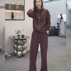 欧货休闲运动套装女秋冬新款时尚洋气减龄宽松加绒直筒裤