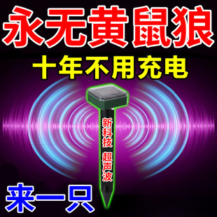 �S������s����̫��ܳ������Bֳ���B�u����S������ș����