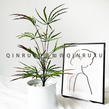 ¿ֲȸľָuצ~[҃șbˇGֲ