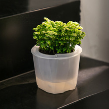 ͸˻ԄˮAˮGֲ⻨SֱN