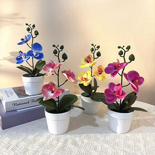 �������~�����m�辰3D�zƬ�ٻ�����ֲ���҃��b���Gɫ�������l