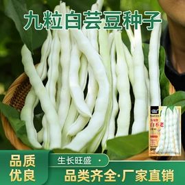 蔬菜种子
