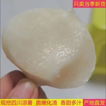 �Ĵ������F�ڬF�l�׵ع��r���ԷN���}�������߲�ˮ����ˬ��֭���l