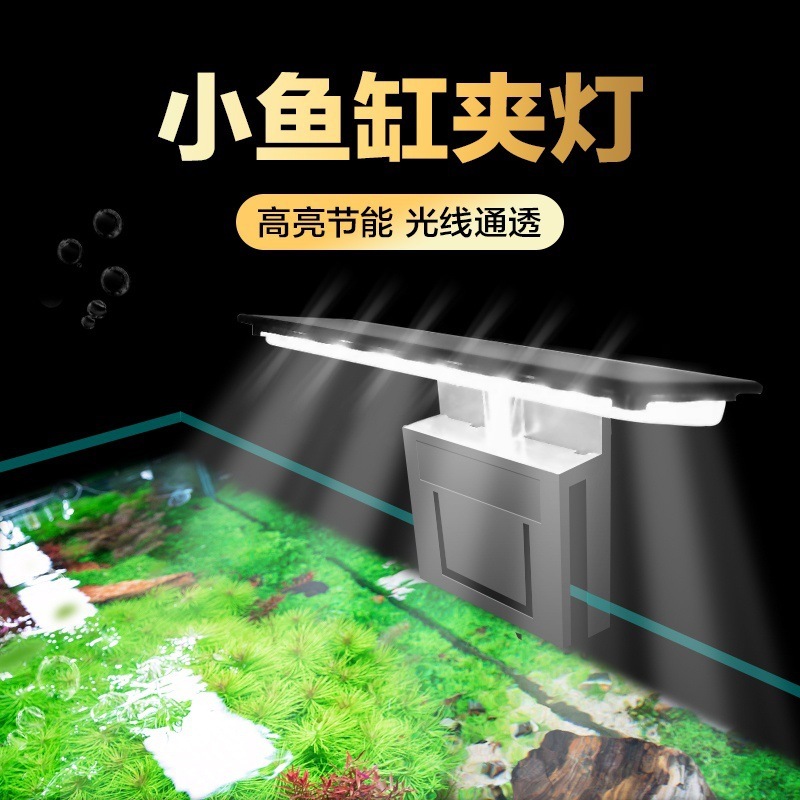 aquarium lighting