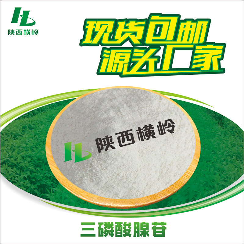 三磷酸腺苷 ATP 腺苷三磷酸 三磷酸腺苷二钠 三磷腺苷粉 500g/袋