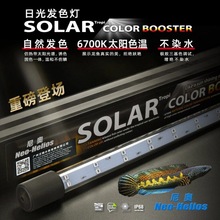 尼奥SOLAR雷龙鱼专用灯日光发色灯防水灯LED鱼缸灯金鱼增艳增色