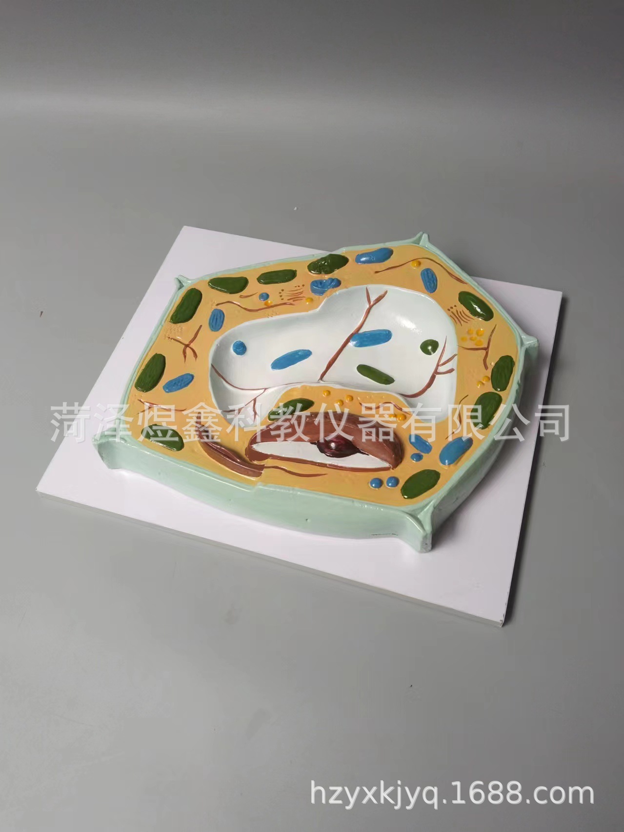 微信图片_20240528214153