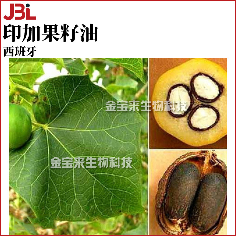 西班牙 印加果籽油 美藤果油 护肤 化妆品原料 1kg