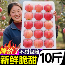 山东烟台红富士苹果新鲜水果当季整箱10斤批发市场整箱青新鲜苹果