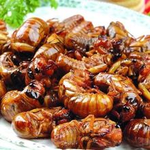 ը֪˺ɽ|خaըsrsӼʳɮ֪Fը]