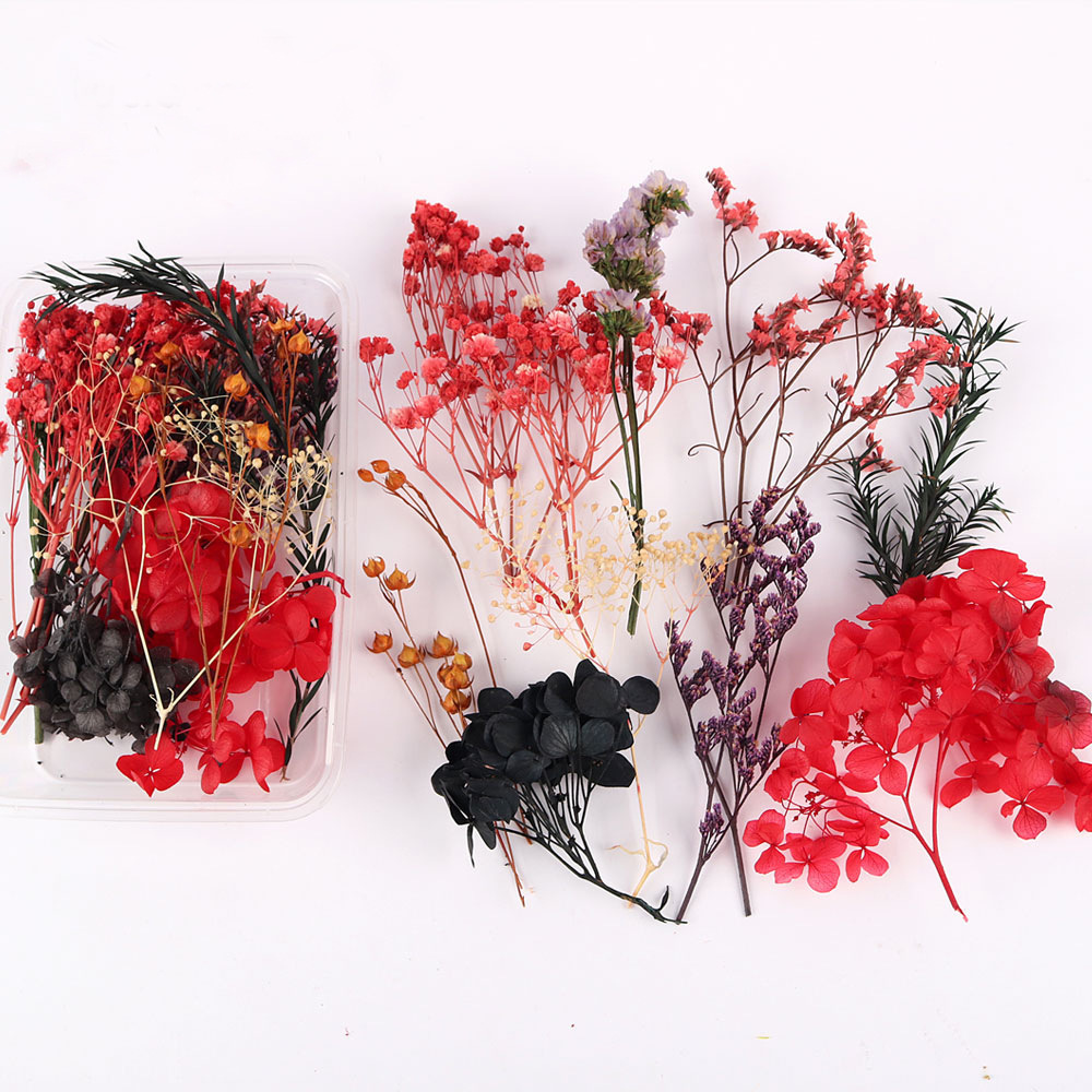 Flores secas preservadas hechas a mano, marco de fotos DIY, decoración mixta, materiales de aromaterapia, flores naturales, ramo de regalo para boda, San Valentín