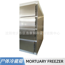 MORTUARY FREEZER 尸体冷藏柜 压缩机置顶停尸柜 2具尸体冷藏箱