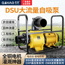 乾颢DSU大流量自吸泵220V抽水泵农用灌溉泵380V高扬程污水泥浆泵