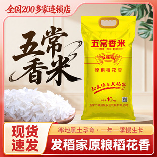 �|�����������峣�����L���������״���20��һ���S��ֱ���������l