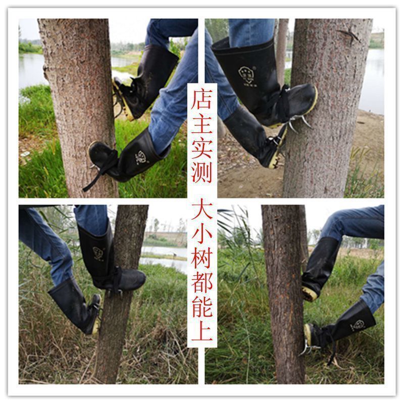 232431e7-0d5f-40ec-bedb-1675efdeaae4.jpe