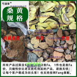 ɣ�S��ș�Ĳ��؛СŬɣ��ɣ�S����Ұ�����ڸ��Nɣ�SҎ��