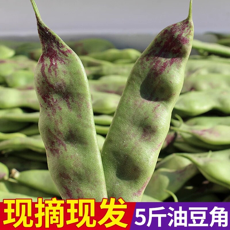东北新鲜油豆角一点红油豆角现摘特产大全小油豆5斤|undefined