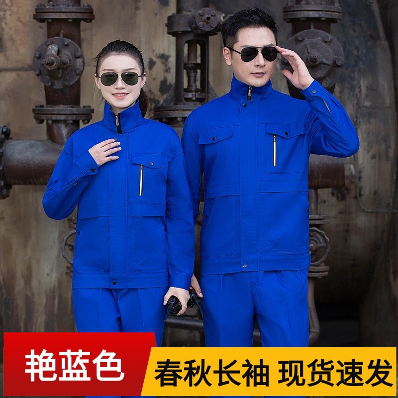 섹션 B-브릴리언트 블루 (코트)