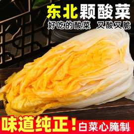 东北酸菜大缸腌制整颗黄心东北大白菜手工制作腌酸菜大白菜泡菜