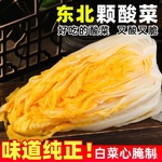 东北酸菜大缸腌制整颗黄心东北大白菜手工制作腌酸菜大白菜泡菜