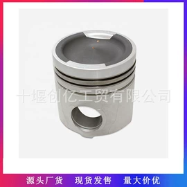 油泵、油嘴;其他发动系统;活塞/活塞环