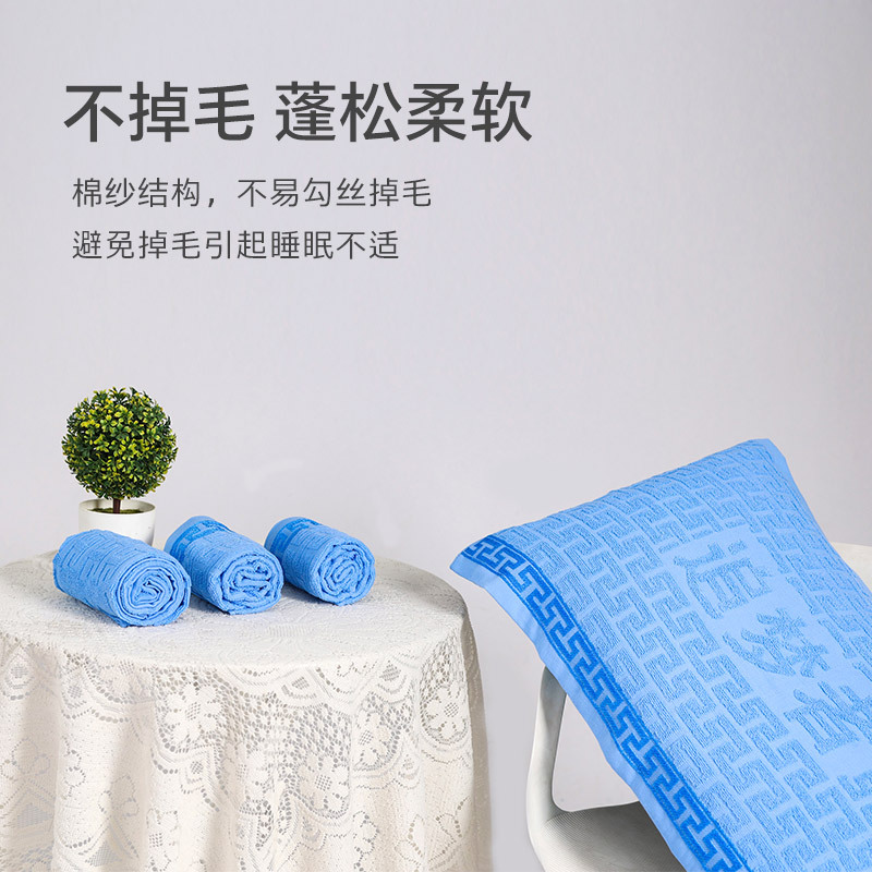 Dormitory Special Pillow Cover Manufacturer Direct Supply Terry Pillow Cover Pure Cotton Antibacterial Moisture Absorption Breathable Student Pillow Cover Wholesale