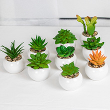 ����ֲ��羳�������پGֲ�辰�҃ȼҾ��b���������ٻ�С����