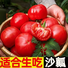 桃子;瓜果类;枇杷