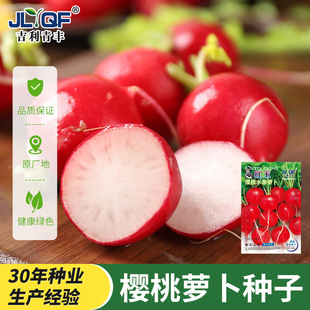 }NļNˮ}N̨С}ѷNtA_N