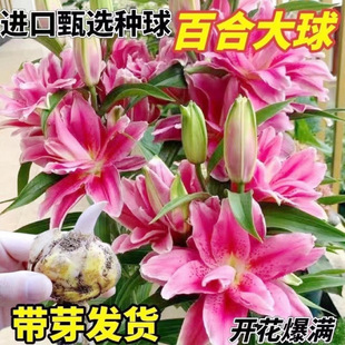 �ͺ���ˮ�ٺϝ������ذ���^���N���Ի��ܺ��B�ļ��_��ˮ���҃�