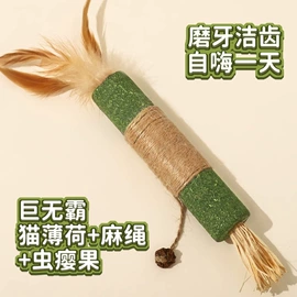 狗狗服装;猫猫窝/笼/垫;狗狗窝/笼/垫