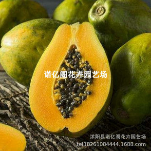 ľ�ϠI�B���簫��������ľ���玧�����~���Ե���ͥԺ�Nֲ�a��ֱ�l