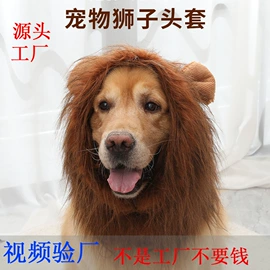 宠物帽子;猫砂铲;宠物项圈