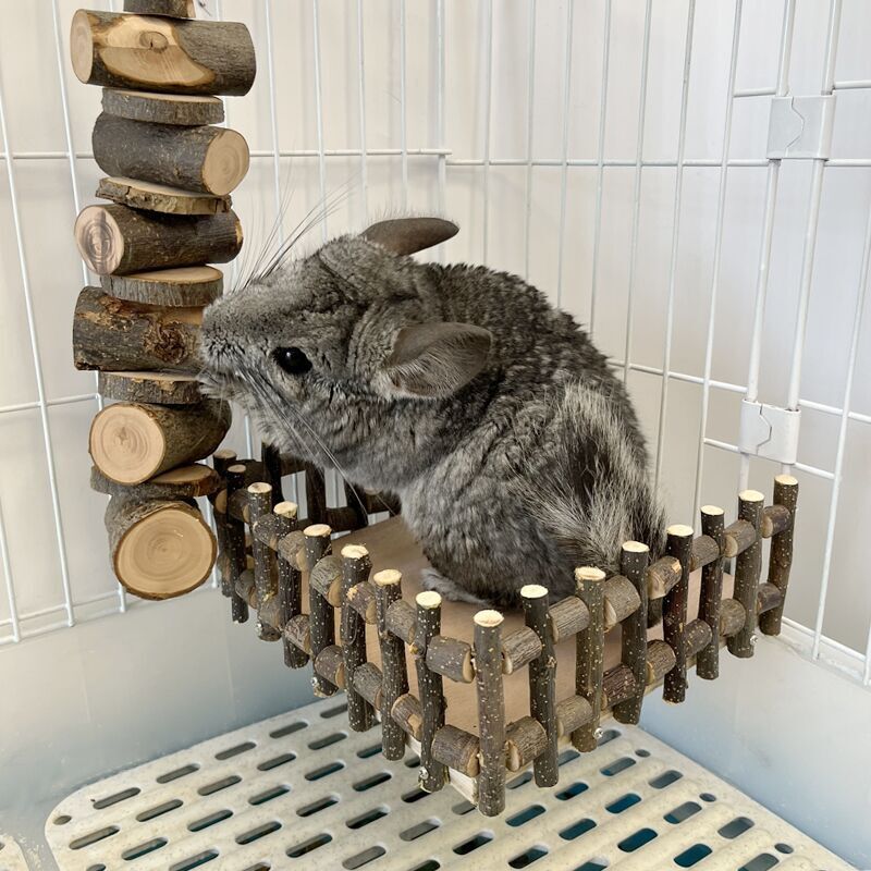 QQ图片20220330163408