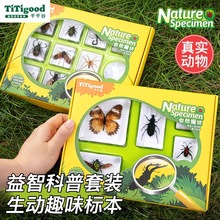 ǧǧģK˱֬bxֲxӃͯ