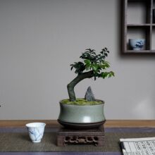 ǧ����С�~��̴�辰�䘶�҃Ȼ���ֲ���k������Gֲǧ�ڹǲ�