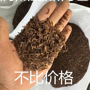 �l�͸��쵾����������͸�����ֲ�ﻨ�܌�ͨ���¼��I�B��������̿