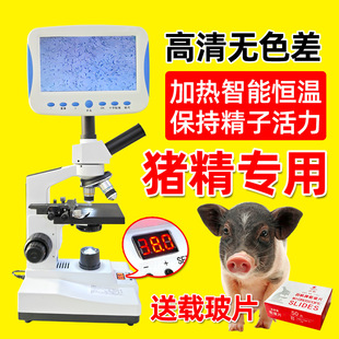 �F�Ða���i���@΢�R1600�����徫�ӻ����z�y�Bֳ�˹��ھ������O��