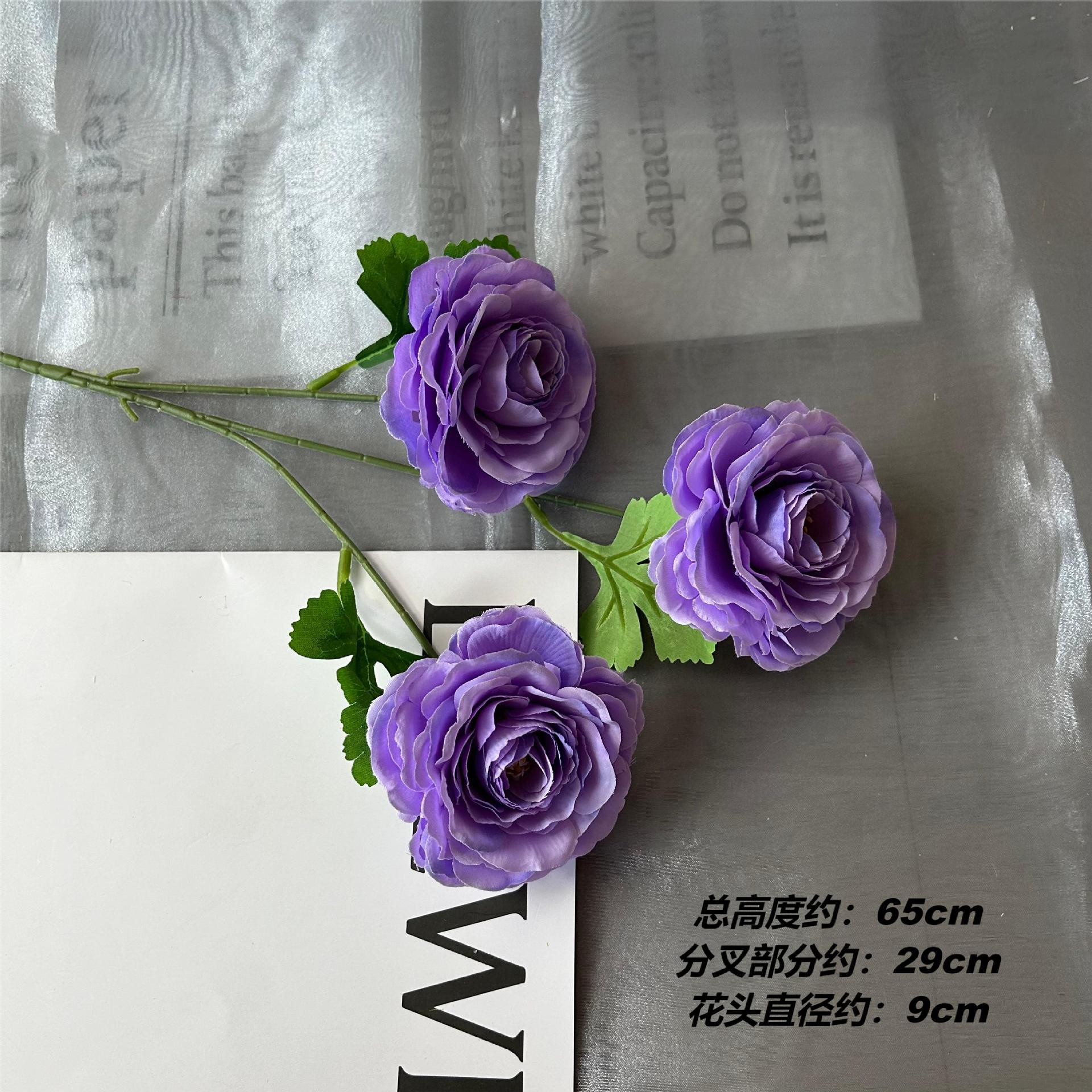 DG 루리안