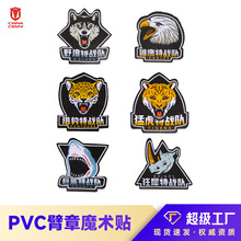 ���g����ħ�g�N PVC����܊�Կ��O�̽����N ����������N �S�ҬF؛